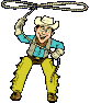 lasso